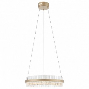 Подвесной светильник ST-Luce Cherio SL383.203.01 в Режи - rezh.ok-mebel.com | фото 3