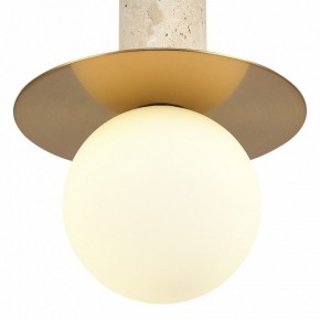 Подвесной светильник ST-Luce Earthy SL1194.303.01 в Режи - rezh.ok-mebel.com | фото 5