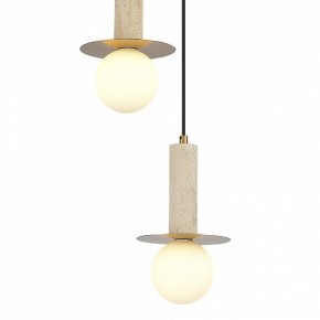 Подвесной светильник ST-Luce Earthy SL1194.303.03 в Режи - rezh.ok-mebel.com | фото 4