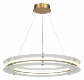 Подвесной светильник ST-Luce FAGY SL6245.203.01 в Режи - rezh.ok-mebel.com | фото 2