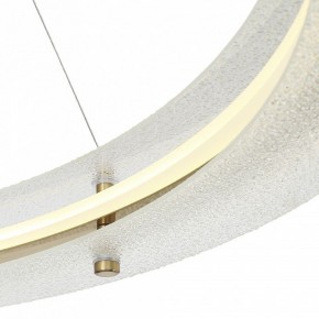 Подвесной светильник ST-Luce FAGY SL6245.213.01 в Режи - rezh.ok-mebel.com | фото 6