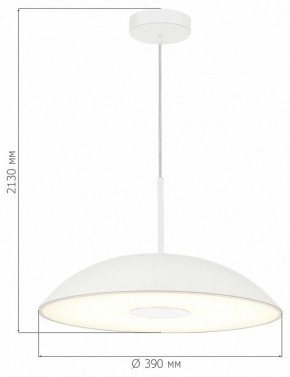 Подвесной светильник ST-Luce Lido SL6128.503.01 в Режи - rezh.ok-mebel.com | фото 4