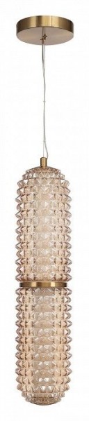Подвесной светильник ST-Luce SAGUARO SL6144.303.01 в Режи - rezh.ok-mebel.com | фото 3