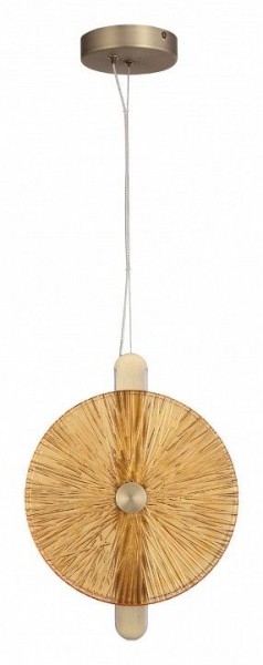 Подвесной светильник ST-Luce WASI SL6141.313.01 в Режи - rezh.ok-mebel.com | фото 3