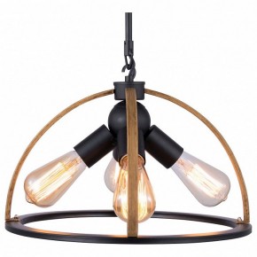 Подвесной светильник TopLight Jasmin TL1179H-04BK в Режи - rezh.ok-mebel.com | фото