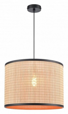 Подвесной светильник Velante 568 568-716-02 в Режи - rezh.ok-mebel.com | фото