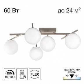 Потолочная люстра Citilux Dorsy CL223151 в Режи - rezh.ok-mebel.com | фото 2