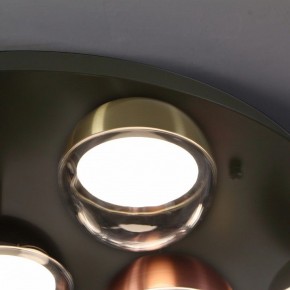 Потолочная люстра Favourite Luna 4371-12C в Режи - rezh.ok-mebel.com | фото 2