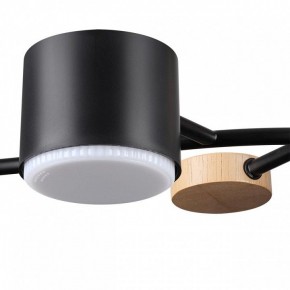 Потолочная люстра Lumion Crypto 8194/5C в Режи - rezh.ok-mebel.com | фото 7