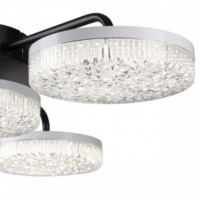 Потолочная люстра Lumion Didana 8236/4CL в Режи - rezh.ok-mebel.com | фото 7