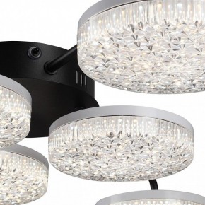 Потолочная люстра Lumion Didana 8236/6CL в Режи - rezh.ok-mebel.com | фото 9