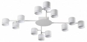 Потолочная люстра Lumion Gareta 8235/12C в Режи - rezh.ok-mebel.com | фото