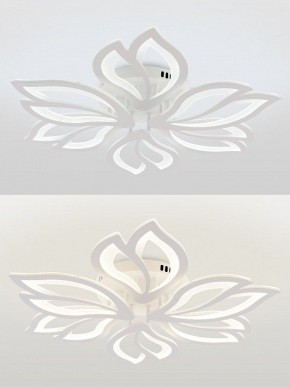 Потолочная люстра Natali Kovaltseva FORTUNA LED LAMPS 81107/6C в Режи - rezh.ok-mebel.com | фото 4