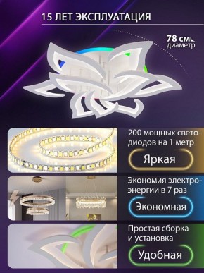Потолочная люстра Natali Kovaltseva OLIMP LED LAMPS 81435 в Режи - rezh.ok-mebel.com | фото 5