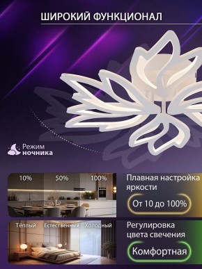 Потолочная люстра Natali Kovaltseva RIF LED LAMPS 81118/5C в Режи - rezh.ok-mebel.com | фото 6