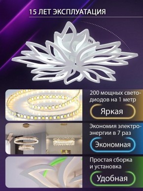 Потолочная люстра Natali Kovaltseva RIF LED LAMPS 81118/6C в Режи - rezh.ok-mebel.com | фото 5