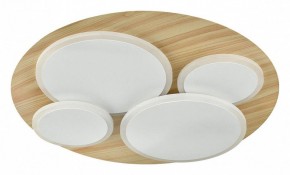 Потолочная люстра Sonex Pine 7734/60L в Режи - rezh.ok-mebel.com | фото