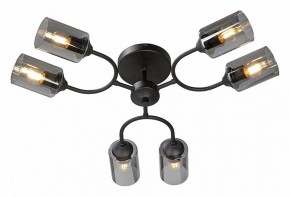 Потолочная люстра Vitaluce V2823 V2823-1/6PL в Режи - rezh.ok-mebel.com | фото 2