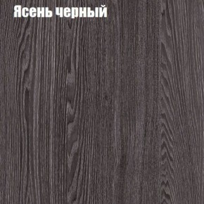 Прихожая ДИАНА-4 сек №10 (Ясень анкор/Дуб эльза) в Режи - rezh.ok-mebel.com | фото 3