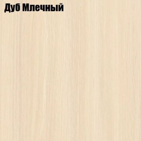 Прихожая Элегант-2 (полный к-кт фур-ры) в Режи - rezh.ok-mebel.com | фото 4