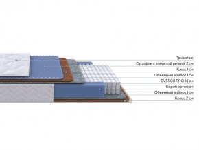 PROxSON Матрас Active Duo M/F (Ткань Трикотаж Эко) 160x195 в Режи - rezh.ok-mebel.com | фото 2
