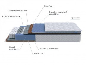 PROxSON Матрас Active Duo M/F (Ткань Трикотаж Эко) 80x190 в Режи - rezh.ok-mebel.com | фото 6