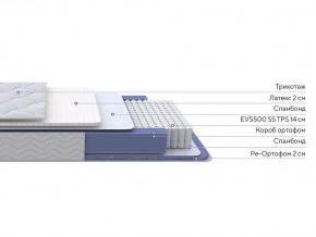 PROxSON Матрас Active Duo S/F (Ткань Трикотаж Эко) 160x200 в Режи - rezh.ok-mebel.com | фото 2