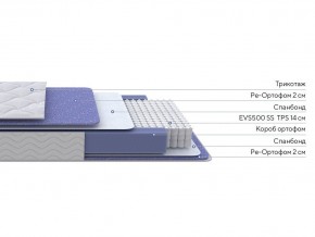 PROxSON Матрас Active F (Ткань Трикотаж Эко) 80x195 в Режи - rezh.ok-mebel.com | фото 2