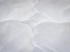 PROxSON Одеяло классическое PROSON (Стеганное полотно) 172x200 в Режи - rezh.ok-mebel.com | фото 4