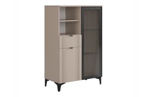 РИЧ Комод 2 со стеклом в Режи - rezh.ok-mebel.com | фото