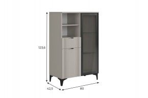 РИЧ Комод 2 со стеклом в Режи - rezh.ok-mebel.com | фото 2