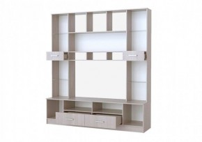 САБИНА СМ-2000 Стенка (анкор светлый) в Режи - rezh.ok-mebel.com | фото 2