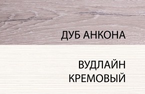 Шкаф 1DT L, OLIVIA, цвет вудлайн крем/дуб анкона в Режи - rezh.ok-mebel.com | фото 3