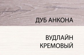 Шкаф 1DW, OLIVIA, цвет вудлайн крем/дуб анкона в Режи - rezh.ok-mebel.com | фото 3