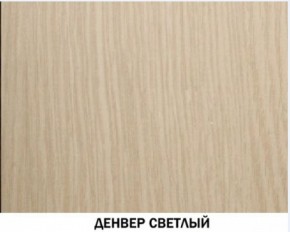 Шкаф для одежды №609 "Инна" Денвер светлый (*без полок) в Режи - rezh.ok-mebel.com | фото 4