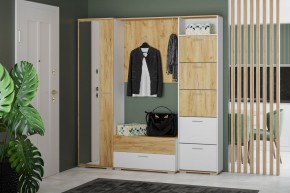 Шкаф для одежды НМ 013.40 "Санти" (Белый/Крафт Золотой) в Режи - rezh.ok-mebel.com | фото 3