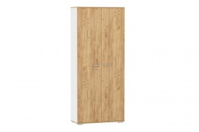 Шкаф для одежды НМ 040.42 "Санти" (Белый/Крафт Золотой) в Режи - rezh.ok-mebel.com | фото