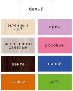 Шкаф ДМ 800 Малый (Оранж) в Режи - rezh.ok-mebel.com | фото 2