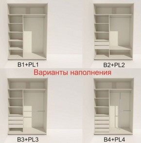 Шкаф-купе 1400 серии SOFT D8+D2+B2+PL4 (2 ящика+F обр.штанга) профиль «Графит» в Режи - rezh.ok-mebel.com | фото 6