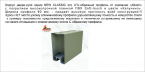 Шкаф-купе 1500 серии NEW CLASSIC K3+K3+B2+PL1 (2 ящика+1 штанга) профиль «Капучино» в Режи - rezh.ok-mebel.com | фото 5