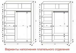 Шкаф-купе 1600 серии SOFT D1+D3+B2+PL1 (2 ящика+1штанга) профиль «Графит» в Режи - rezh.ok-mebel.com | фото 6