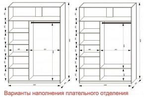 Шкаф-купе 1600 серии SOFT D6+D4+B2+PL2 (2 ящика+1штанга+1 полка) профиль «Капучино» в Режи - rezh.ok-mebel.com | фото 8