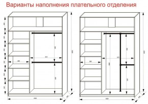 Шкаф-купе 1600 серии SOFT D6+D4+B2+PL2 (2 ящика+1штанга+1 полка) профиль «Капучино» в Режи - rezh.ok-mebel.com | фото 9