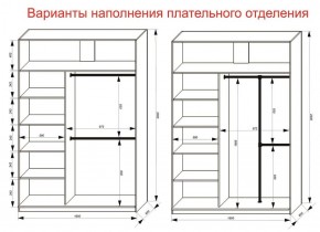 Шкаф-купе 1600 серии SOFT D6+D6+B2+PL3 (2 ящика+2штанги) профиль «Капучино» в Режи - rezh.ok-mebel.com | фото 7