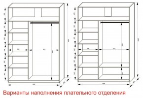 Шкаф-купе 1600 серии SOFT D8+D2+B2+PL4 (2 ящика+F обр.штанга) профиль «Капучино» в Режи - rezh.ok-mebel.com | фото 5