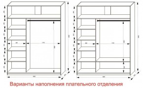 Шкаф-купе 1800 серии SOFT D6+D4+B2+PL2 (2 ящика+1штанга+1 полка) профиль «Капучино» в Режи - rezh.ok-mebel.com | фото 8