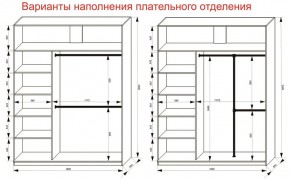 Шкаф-купе 1800 серии SOFT D8+D2+B2+PL4 (2 ящика+F обр.штанга) профиль «Графит» в Режи - rezh.ok-mebel.com | фото 8