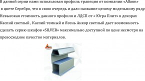 Шкаф-купе 2250 серии SILVER S3+S1+S3Z B22+PL2 (по 2 ящика лев/прав+1штанга+1 полка) профиль «Серебро» в Режи - rezh.ok-mebel.com | фото 4