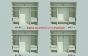 Шкаф-купе 2450 серии NEW CLASSIC K6Z+K1+K6+B22+PL2 (по 2 ящика лев/прав+1 штанга+1 полка) профиль «Капучино» в Режи - rezh.ok-mebel.com | фото 6