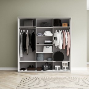 Шкаф-купе Акцент-Сим ДЗ 2400-600 в Режи - rezh.ok-mebel.com | фото 2